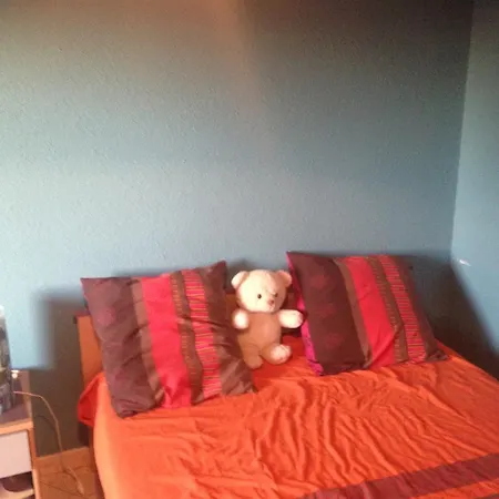 Holiday home Dans Avec Piscine Privee With Swimming Pool Toulouse